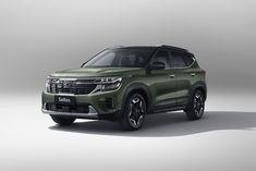 赛图斯