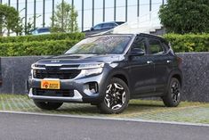 赛图斯