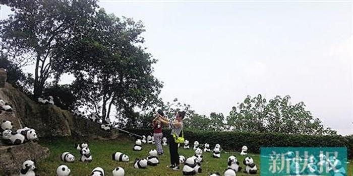 景区展纸熊猫遭游客破坏 女子骑在纸熊猫上自