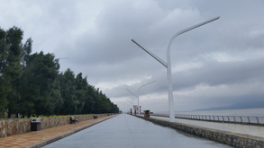 视频-太美丽！航拍舟山马拉松 真正海景赛道