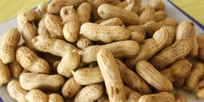 各种坚果的营养成分 w700h350z1l10t104f0.jpg