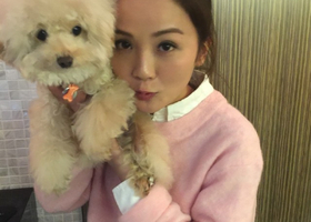  赵本山 多档 节目被叫停 延播 - 手机新浪网