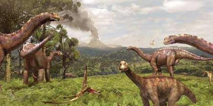 黄山休宁发现恐龙蛋新类型