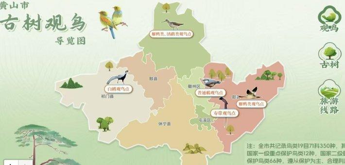 古树观鸟“宝藏图鉴”，带您指尖出发！