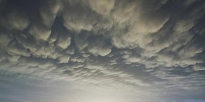 安庆在多云天气中迎来芒种节气 气温在23~28