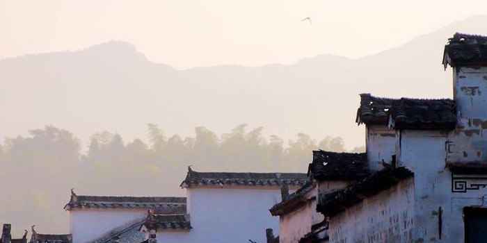 大盘点!看看安徽省16市工会工作都有哪些亮点