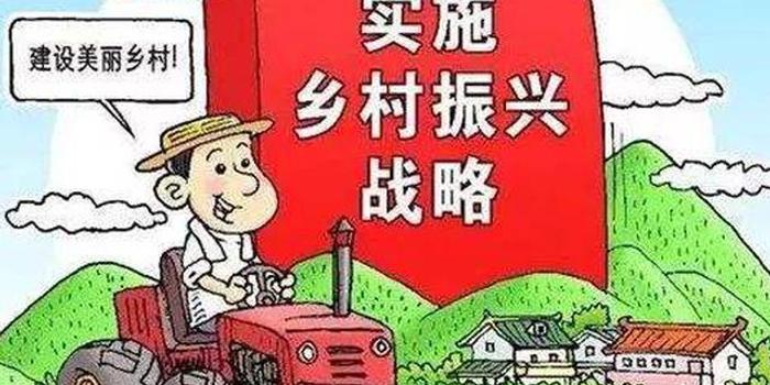 强化党建引领为乡村振兴"铸魂" 安徽省池州市石台县以创建基层服务型