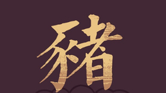 生肖猪运势及开运方位