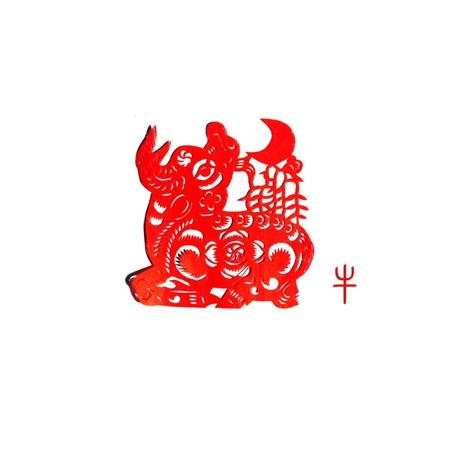属牛爱上谁注定是悲剧