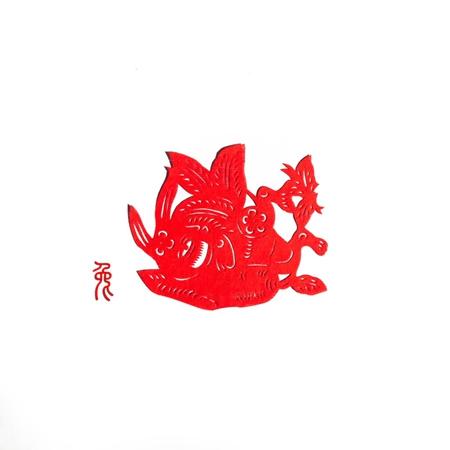 属兔爱上谁注定是悲剧