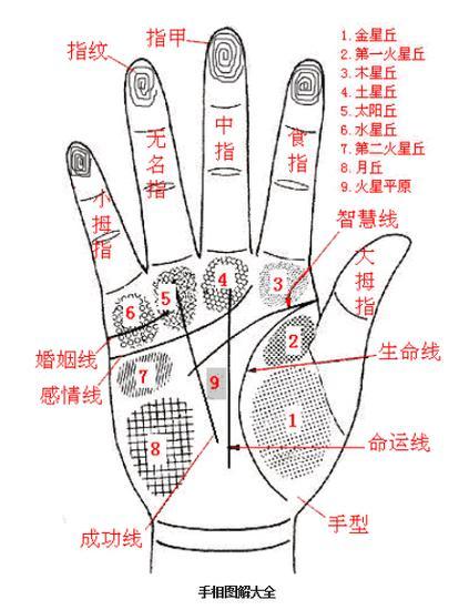 手相示意图