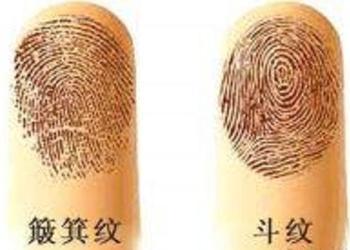 手上长几个斗,暗示你旺夫又发财!