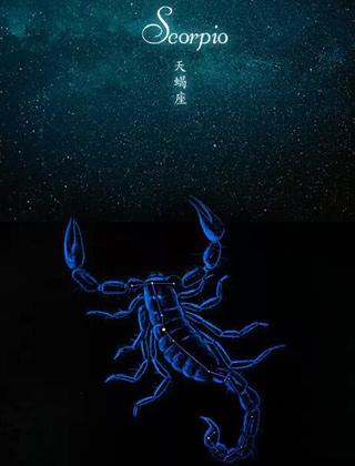 Scorpio 天蝎座