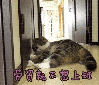 上班族这五天里心情状态具体是怎样的呢
