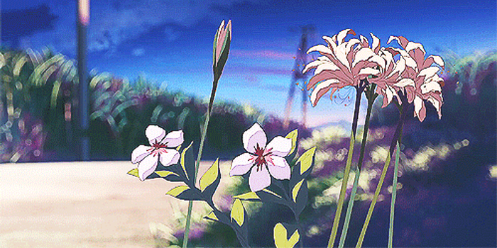 怎样变得更加幸运 w700h350z1l10t1049b.jpg