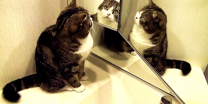 一个黑人拿着一个夹子猜四字成语_四字成语你画我猜(2)