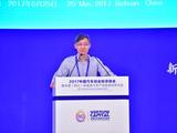 李小宁:乐观看待新能源产业