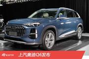 上汽奥迪Q6发布 最大的SUV