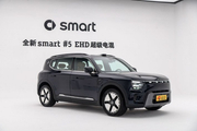 静态体验smart精灵#5 EHD