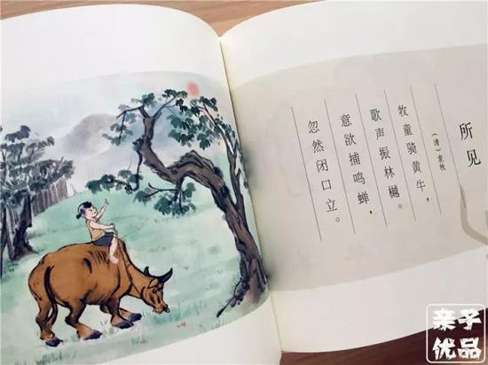 浓淡相宜的笔墨,透出柔和典雅之美,每一幅都像艺术品,太值得珍藏了!