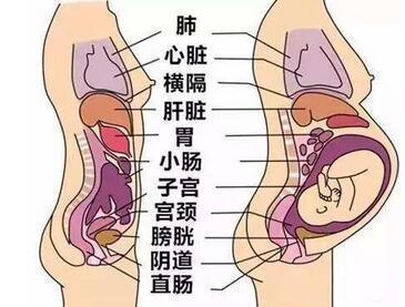 胸闷气短咋回事?