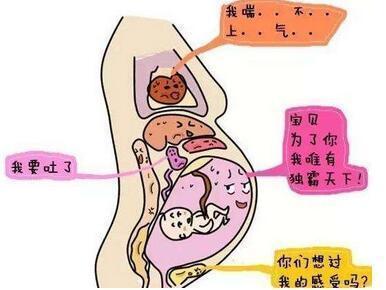 怎么办?