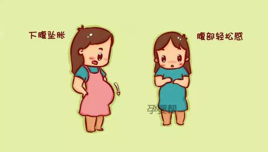 3、假阵缩
