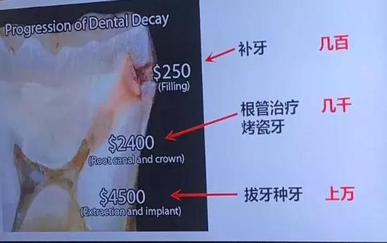 (图片来源:郑黎薇教授微博@薇薇阿姨Vivian)