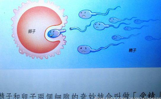 妈妈,我是从哪里来的?