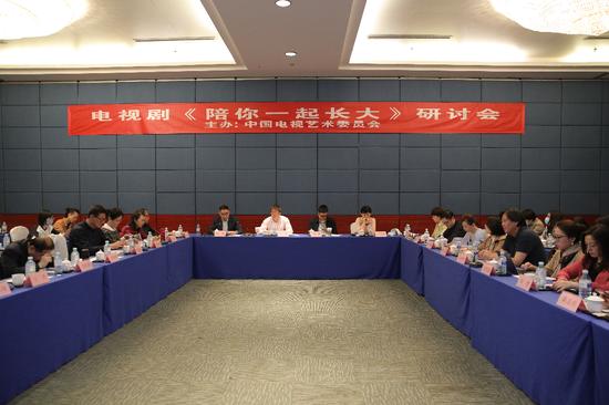 中国电视艺术委员会主办的电视剧《陪你一起长大》研讨会