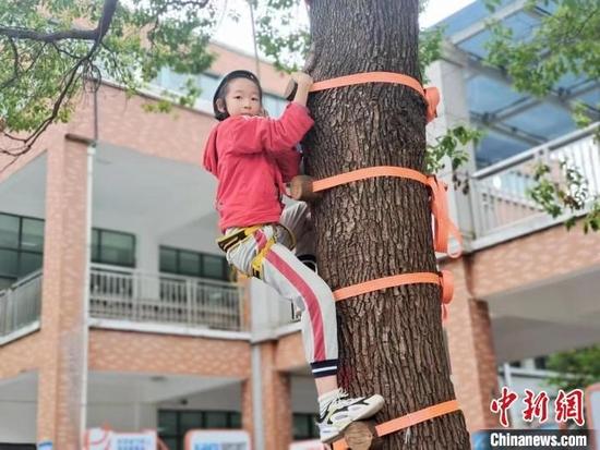 学生正在上爬树课 钱塘区教育局供图
