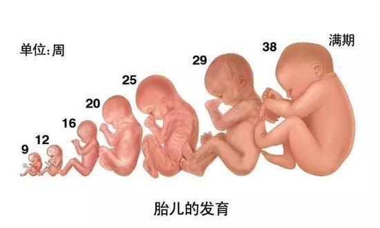 1周