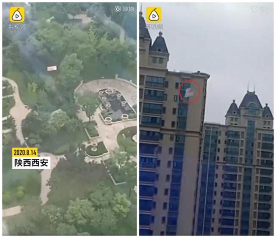 视频截图