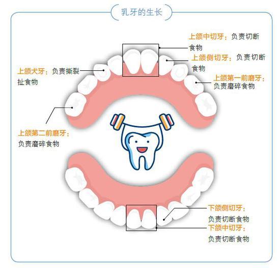 图为:图书插图