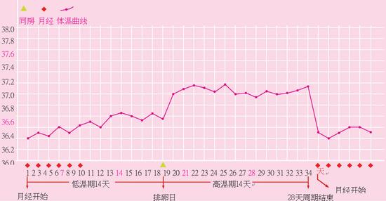 基础体温表