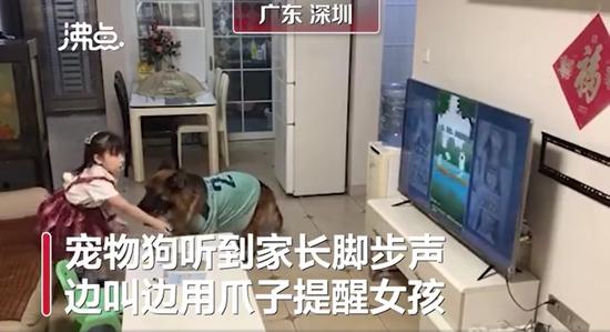 视频截图