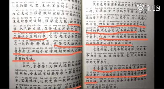 视频截图
