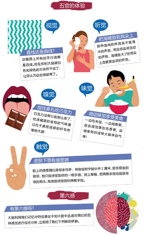 五官的体验