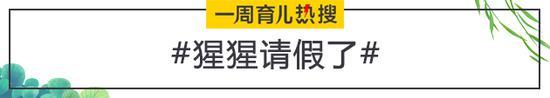 猩猩请假了