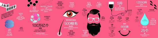 人体的超级数字