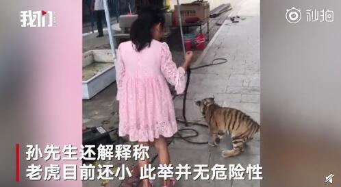 视频截图