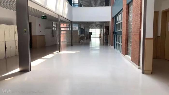图片截图自B站一颗小心心-《奖金30万RMB一年的国际学校里面长什么样子?》