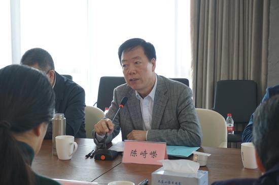 中国作协网络文学委员会主任陈崎嵘