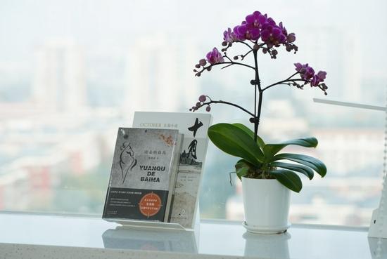 《远去的白马》是朱秀海为当代军事文学领域贡献的又一部力作