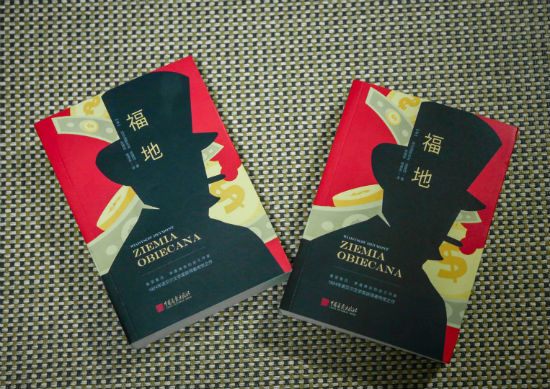 《福地》 (波兰)符瓦迪斯瓦夫·莱蒙特 张振辉 中国画报出版社