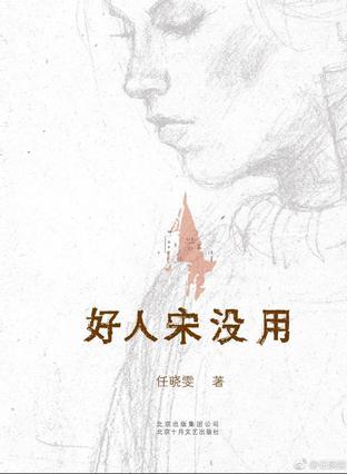 《好人宋没用》 任晓雯 北京十月文艺出版社