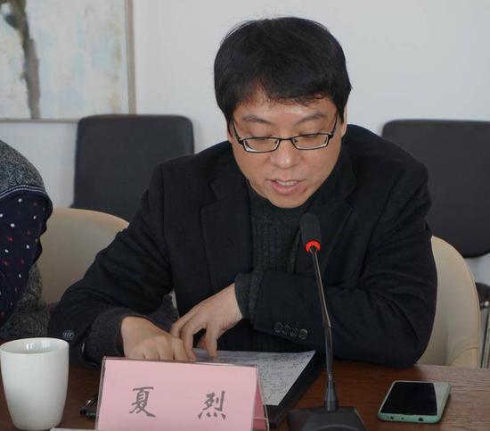 杭州师范大学教授、中国作协网络文学研究院副院长夏烈