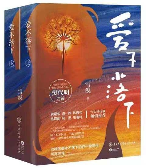 《爱不落下》书封