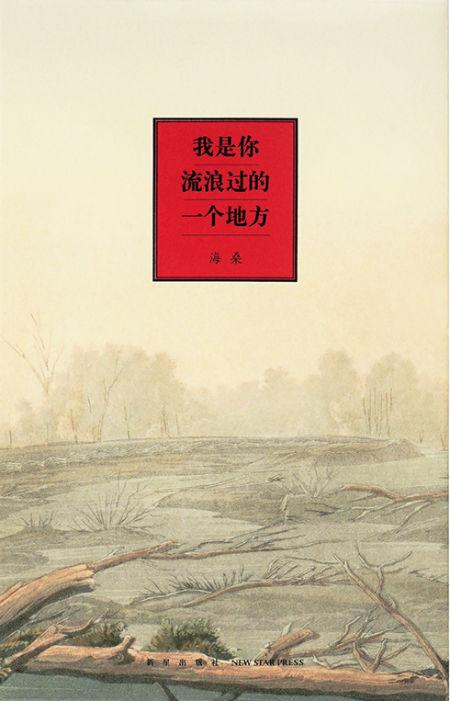 《我是你流浪过的一个地方》 海桑 新星出版社