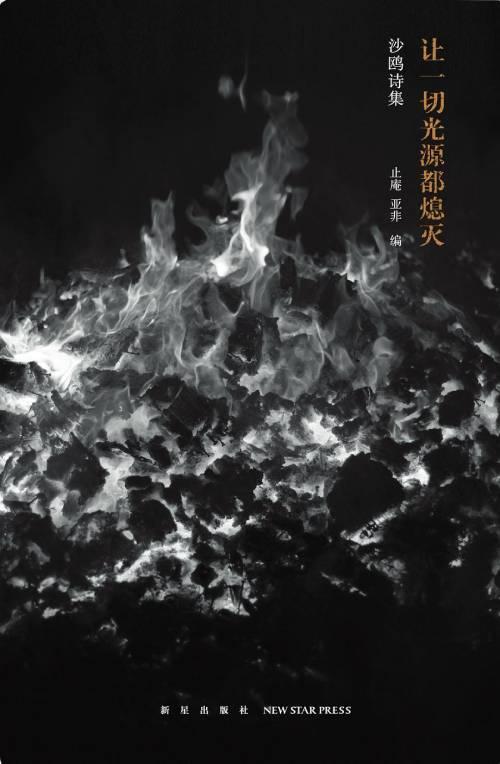 《让一切光源都熄灭》 沙鸥 著 止庵 编 亚非 编 新星出版社